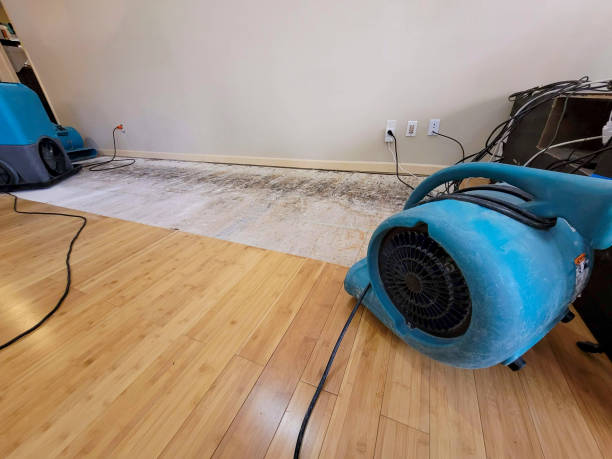 Professional Water Damage Repair technician working in Mineola, IA